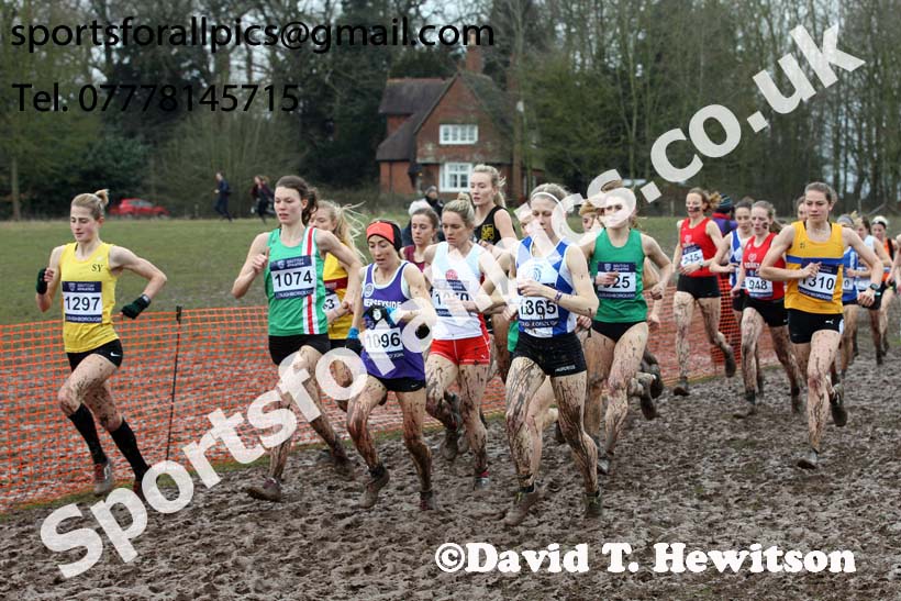 Senior womens 2018 British Inter Counties Cross Country Champs., Prestwold Hall, Loughborough. Photo: David T. Hewitson/Sports for All Pics